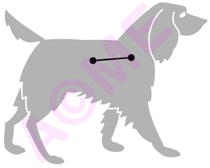 Canis Minor: The Little Dog