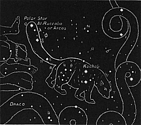 Ursa Minor: The Little Bear